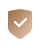 secure icon